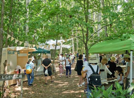 今年、7/16-17に行われる森ジャムは、町民が主体となって作られたイベント。下川の木から作られたチェーンソーアートをいたるところに飾り、森の中でゆったり楽しむことができます。