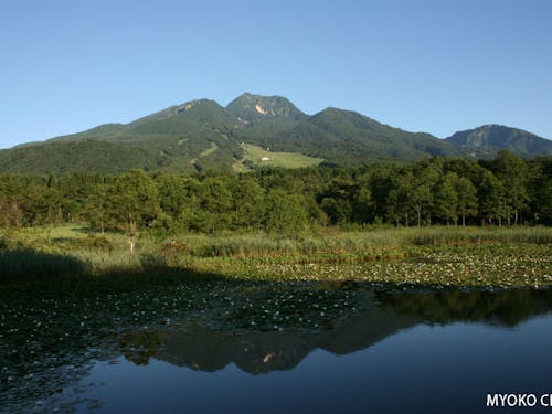 妙高高原はじめ、豊かな自然資源と出会える