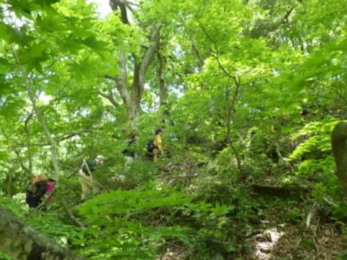 マッチングセンターは年間50を超える森林と人をつなげるイベントを開催