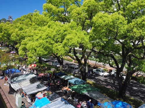 高知県へのU・Iターンに必要な情報がすべて揃うこの機会に、ぜひご参加ください!