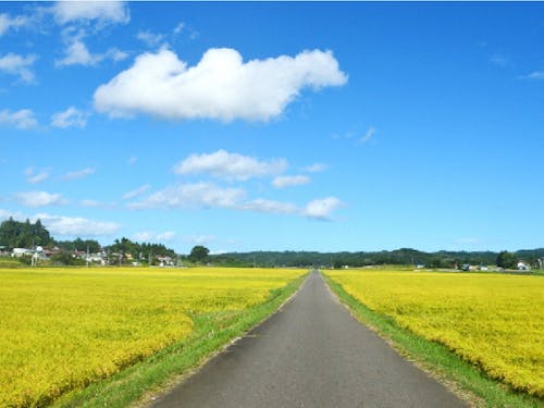 白河市野出島地域