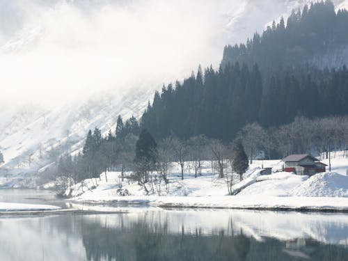 只見町の雪景色