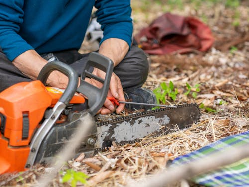 チェーンソーを安全に扱う知識を学びます