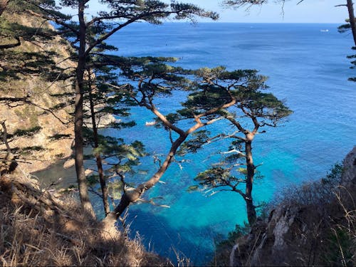 三陸沿岸の絶景トレイル