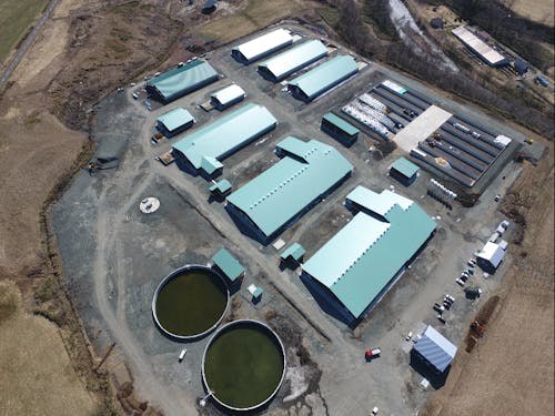 牧場全体の写真