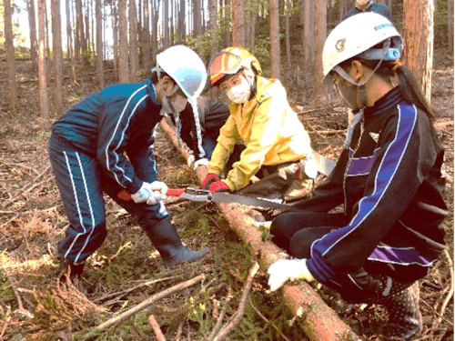小学校での森林体験の風景
