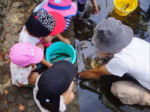 魚掴み取り体験