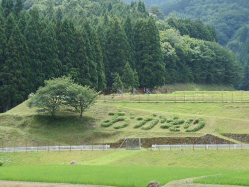 「おかえり」の畦畔アート