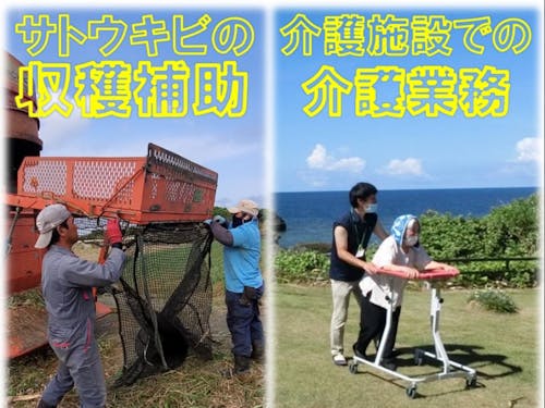サトウキビの収穫補助 介護施設での介護業務