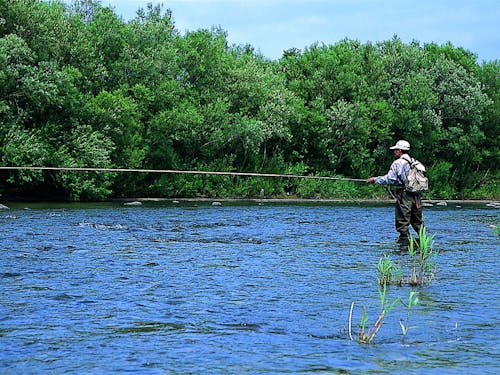 アユ釣りで訪れる方が多くいます