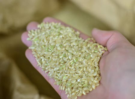 おいしいお米を育てるには、草刈りが大切！
