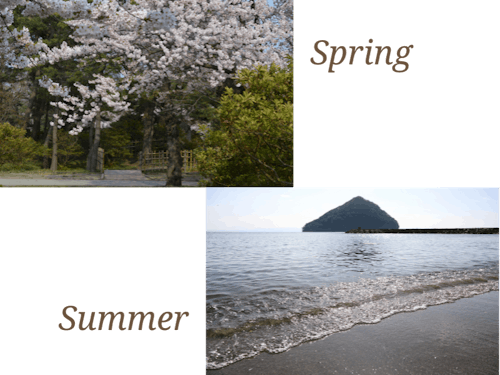 合浦公園の桜/サンセットビーチ浅虫