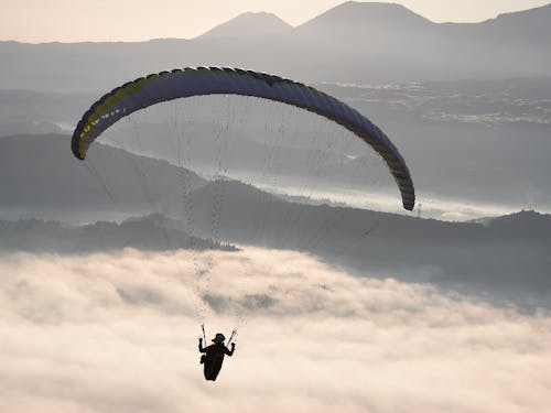早朝の雲海をお散歩