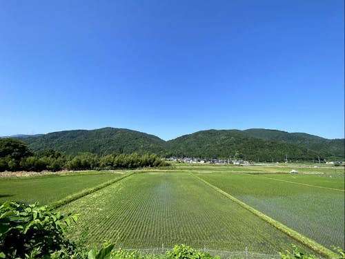 高島市マキノ町の様子