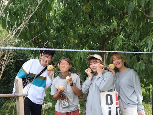 何日か暮らしていると、村の人と知り合ってきました。休みの日にみんなで果汁園をされている方のもとで桃の収穫を手伝わせてもらったよ。