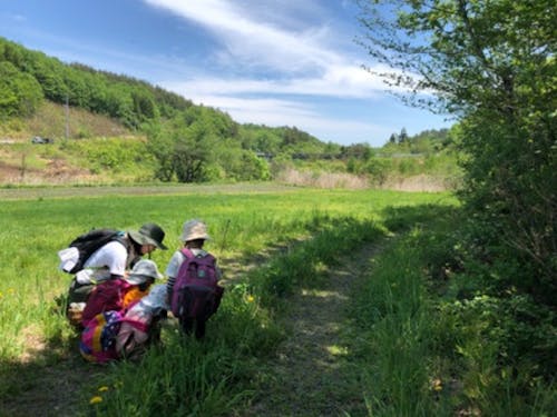 お散歩は色んな生き物との出会いの場。それぞれ惹かれる物は違うようですが、ずっと観察しています。