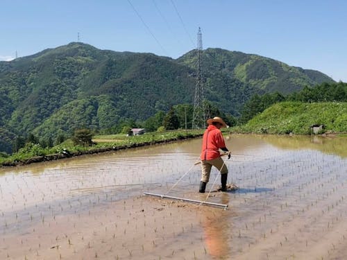 モクモクと、除草はチェーンを使って
