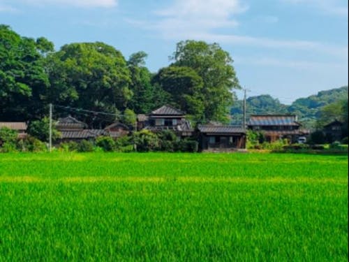 (国東市)ノルブリンカ