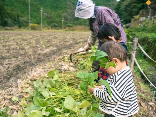 当日参加する相談員は豊岡市で子育て真っ最中です!