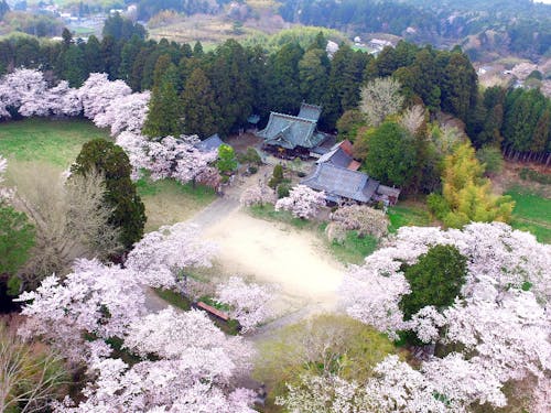 令和４年４月「相馬小高神社」空撮写真