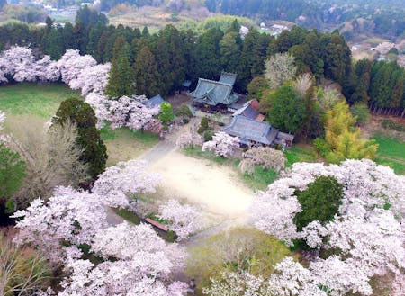令和４年４月「相馬小高神社」空撮写真