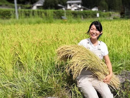 リモートワーク×田んぼ!