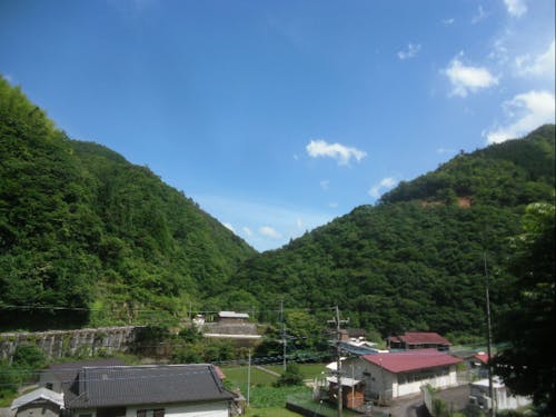 空き家の庭から見える風景