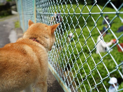 仕事と暮らしをたのしむ割合を考えておくと充実したツアーになるかもしれませんね