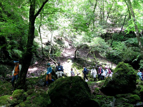 ガイドさんと水源地の森に行くと、川上村の歴史や自然環境のことをたくさん知ることができますよ