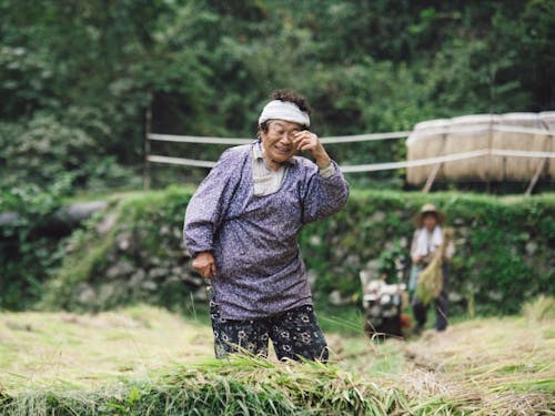 手間暇を惜しまぬ小さな農業