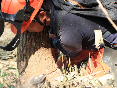 森と人を繋げる林業