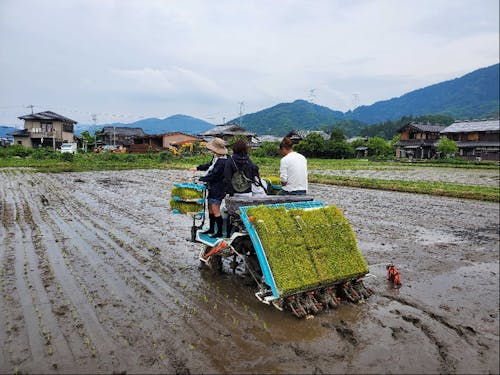 移住して田んぼを借りて自分のお米を作っている人も!
