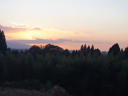 五ヶ瀬町桑野内地区の夕日