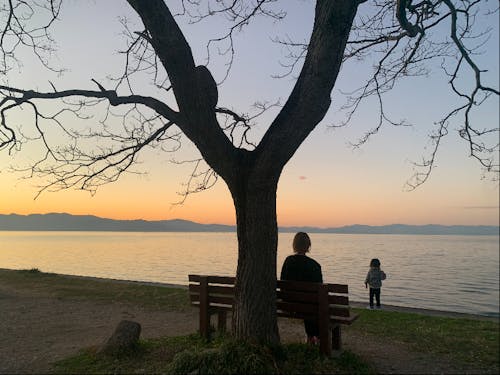 昨年は、夕暮れの琵琶湖も見に行きました〜!