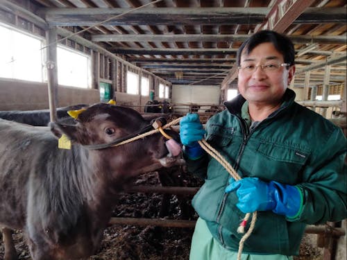 肉牛飼育をしている組合員さん