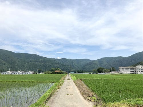 山と田んぼと学校と家