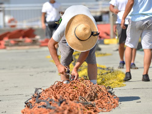定置網のメンテナンス