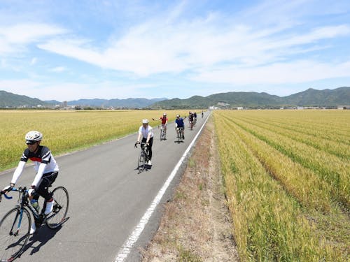 田園ののどかな風景