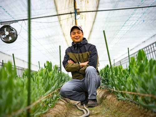 先輩就農者①売れる戦略を持って、高品質な花卉栽培を行う