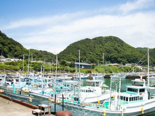 室戸市 室戸岬町 室津漁港。キンメ漁やサンゴ漁などの漁船が並ぶ