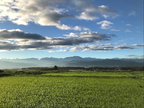 3年間、伊那市のおこし隊の活動を通して得たことを語ってもらいます!