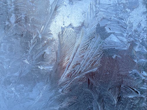 芸術的に凍った二重窓の間
