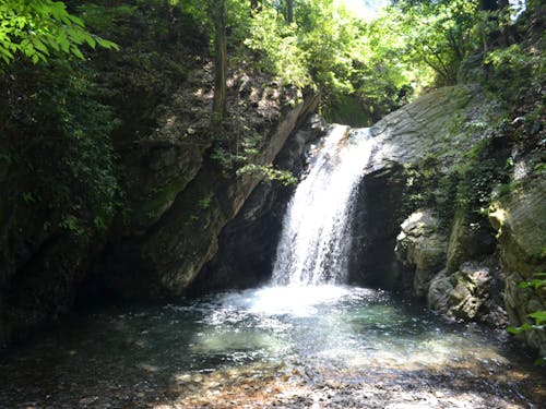 きれいな水も森があるからこそ