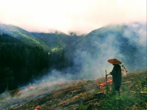 8月に向山地区で行われる、焼畑の火入れの様子
