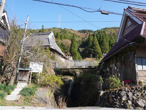 築100年超の古民家が立ち並ぶ集落も残っています。