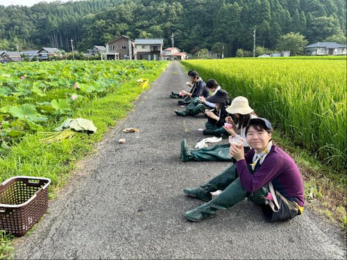 地域の収穫アルバイト