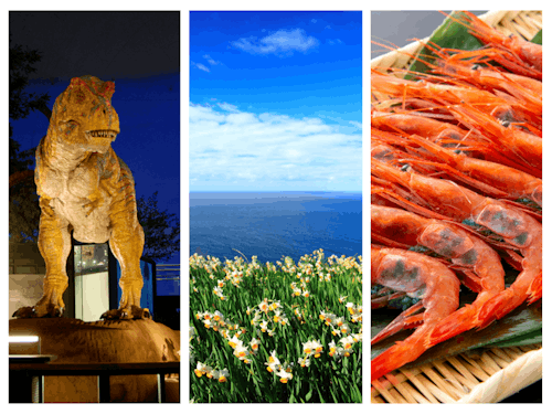 恐竜博物館など子どもの遊び場のほか、自然や食も豊富です!!