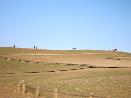 ▶ひたち海浜公園/冬