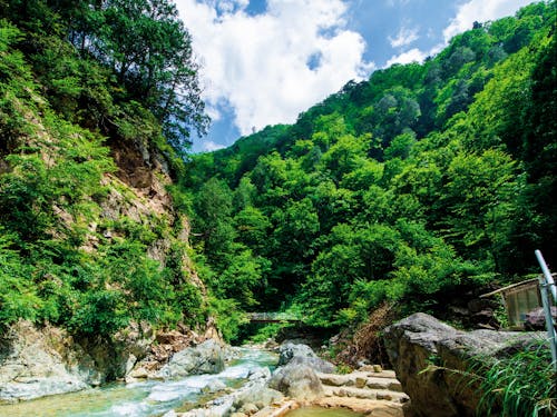 夏は川遊び、キャンプ、ジップラインなどのアクティビティが充実!