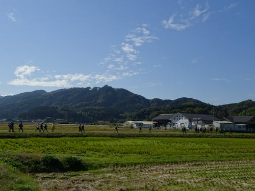 赤村ハイキングツアー